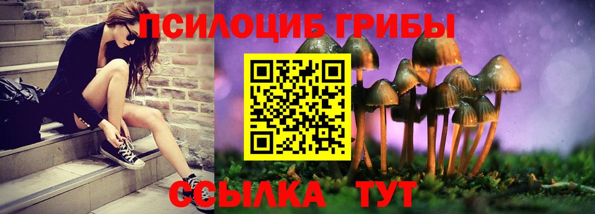 Псилоцибиновые грибы прущие грибы  Вход с VPN  Семёнов 